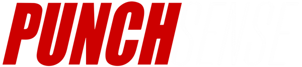 PUNCHSENSE